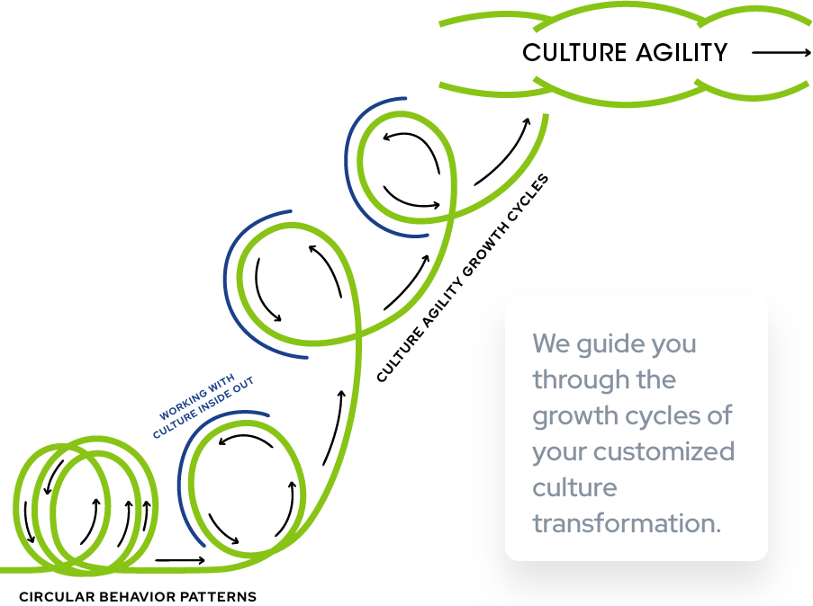 The Culture Agility™ Course Culture Inside Out